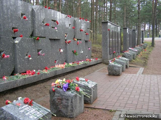 Праздничное шествие и церемония возложения венков.  9 мая 2010 Сестрорецк.