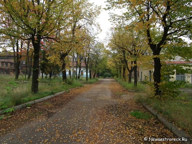 Сестрорецкий завод - наши дни