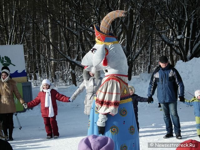 Сестрорецкая масленица 2011