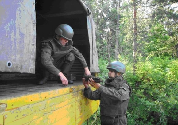 У будущего намыва возле Сестрорецка обнаружили боеприпасы