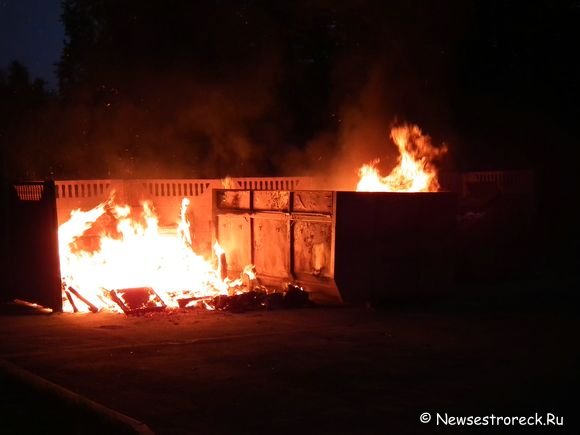 Во дворе дома ул.Токарева 10 полыхала помойка