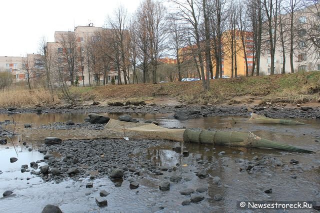 Сестрорецкие браконьеры захватили водосливной канал "Шипучка"