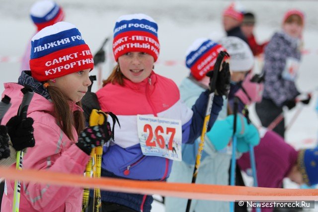 В Сестрорецке состоялась лыжная гонка «Лыжня России – 2013»