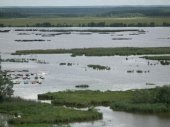 Сестрорецкое водохранилище обзаведется правилами использования