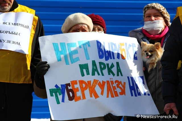 Жители Сестрорецка вышли на митинг против строительства на месте туберкулезной больницы