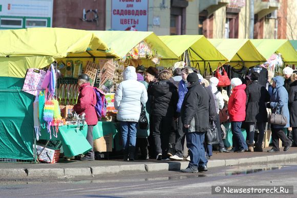 В Сестрорецке открылась ярмарка 