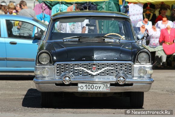 В Сестрорецке прошла акция «Здоровая семья - здоровая Россия»