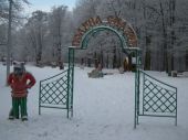 Неизвестные в парке «Дубки» совершили акт вандализма