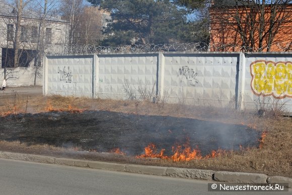 На наб.реки Сестры, д.16 произошло возгорание сухой травы