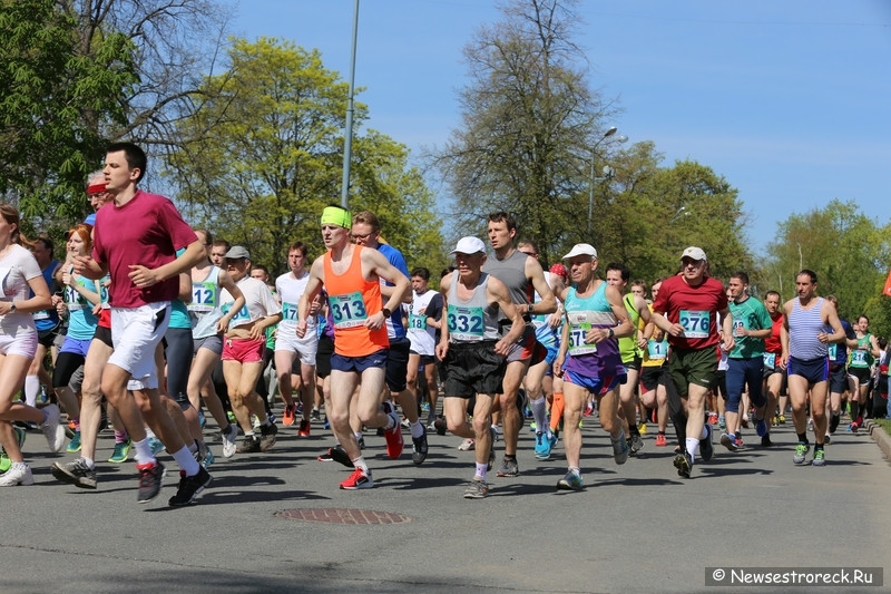 Сестрорецкий полумарафон 2014