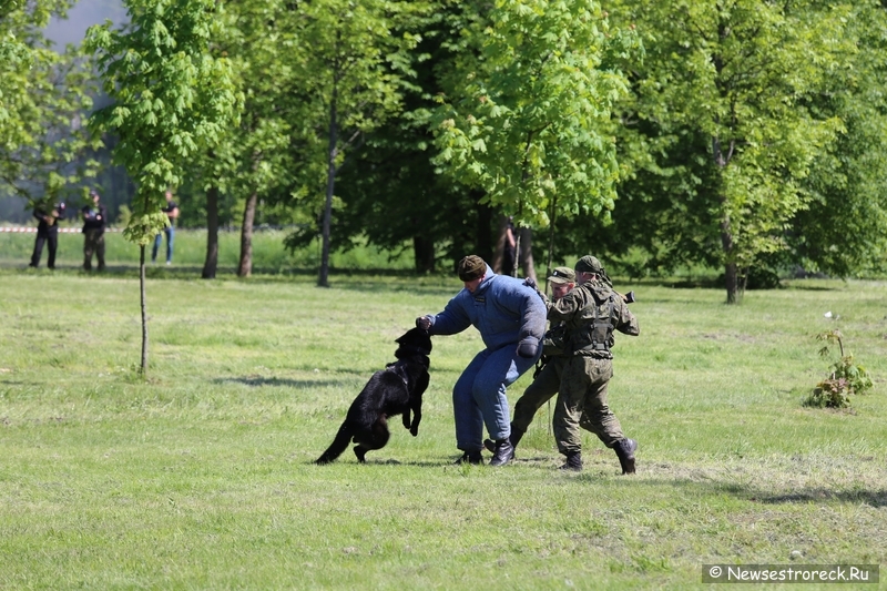 В Сестрорецке отметили День пограничника