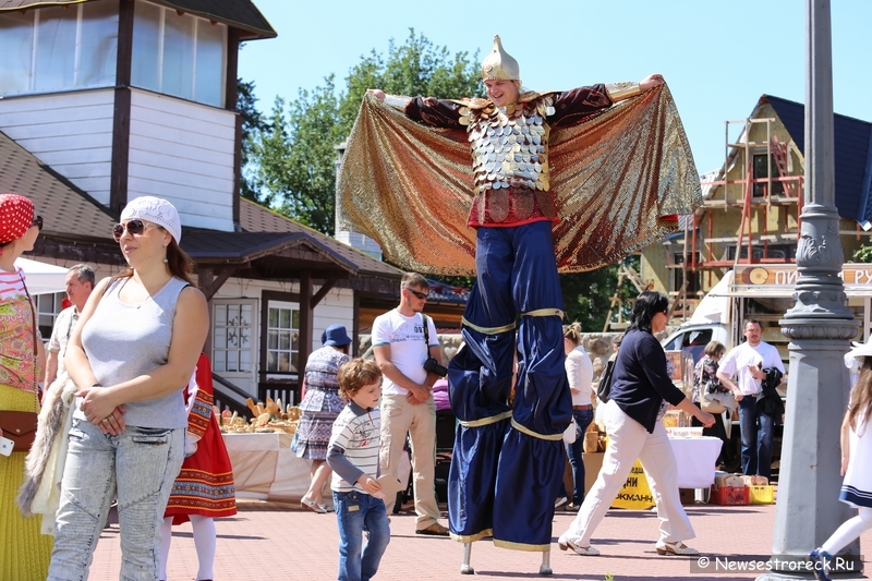 День семьи любви и верности 2014 в Сестрорецке