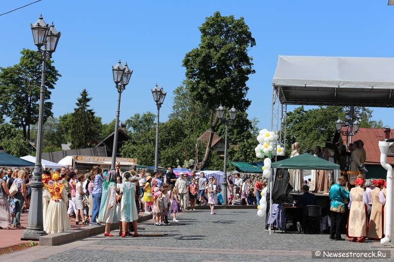 День семьи любви и верности 2014 в Сестрорецке