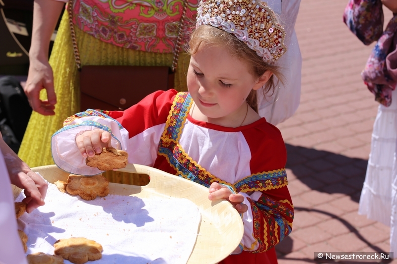 День семьи любви и верности 2014 в Сестрорецке