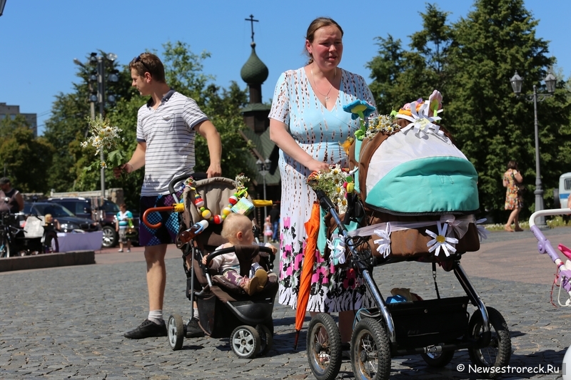 День семьи любви и верности 2014 в Сестрорецке