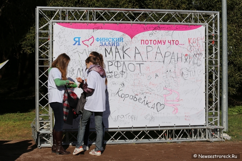 Акция «Чистый берег» стартовала в Сестрорецке