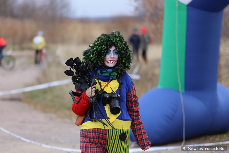 «Тыква Рейс 2014» прошел в Сестрорецке