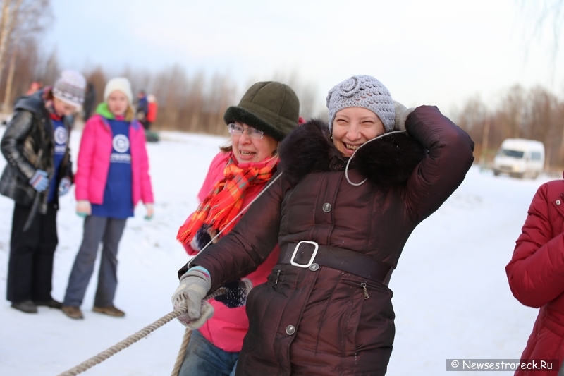 В Сестрорецке состоялся турнир по волейболу на снегу «Snow Volley Christmas-2015»