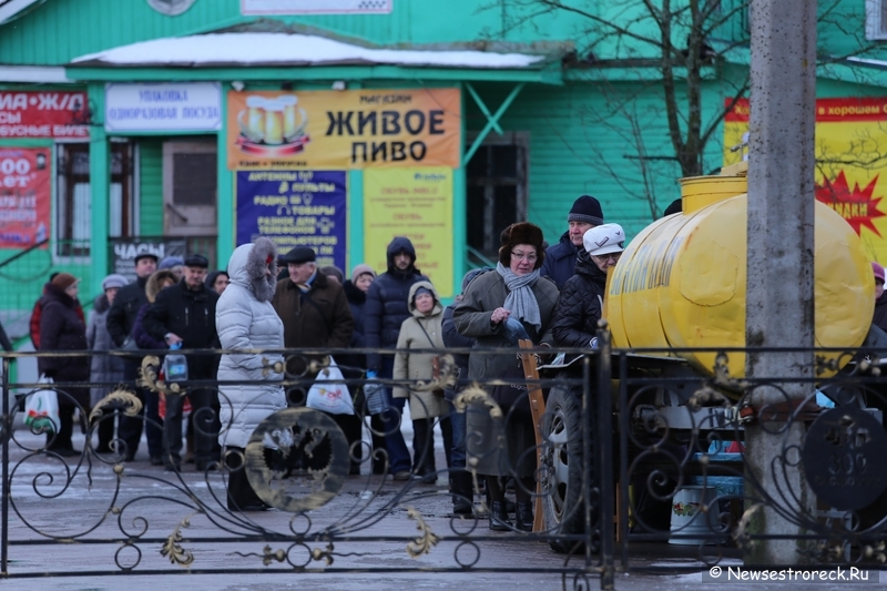 В Сестрорецке Крещение отметили крестным ходом и массовым купанием