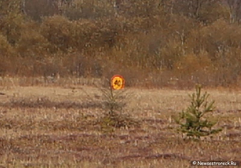 На Сестрорецком болоте "шутники" поставили дорожные знаки На Сестрорецком болоте "шутники" поставили дорожные знаки