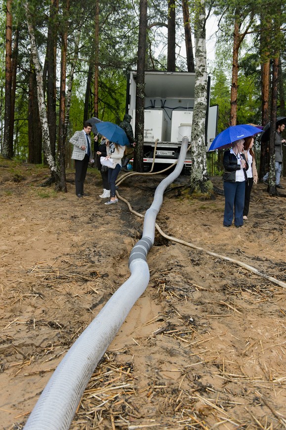 В акваторию Финского залива выпустили 5000 мальков сига   