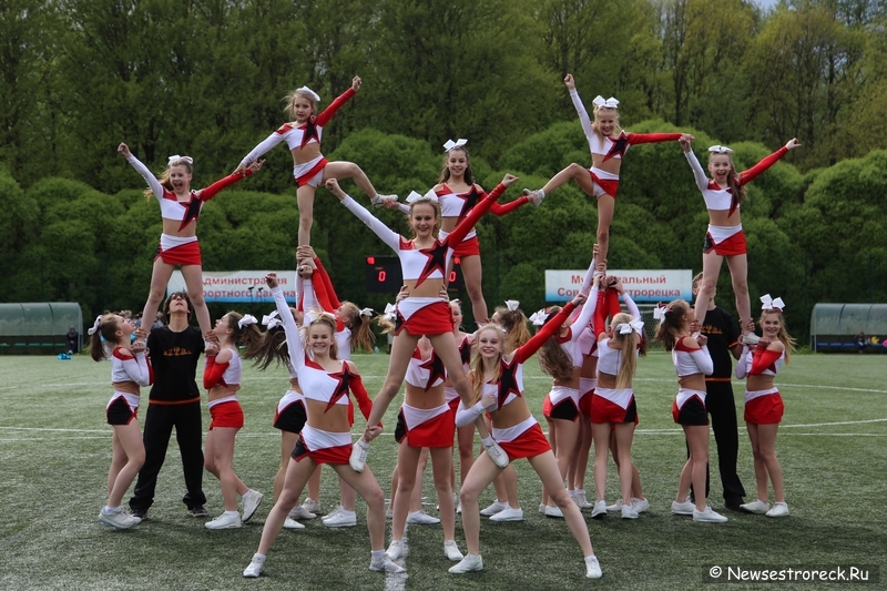 В Сестрорецке прошел открытый Кубок по черлидингу «CHEER OPEN - 2015»