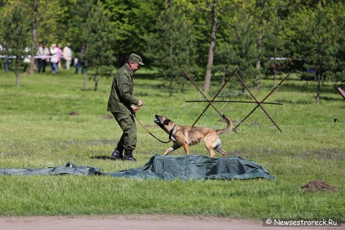 В Сестрорецке отметили День пограничника 2015