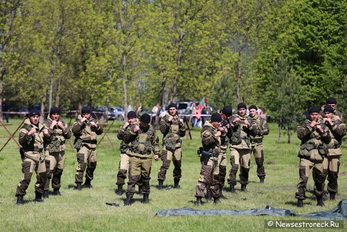 В Сестрорецке отметили День пограничника 2015