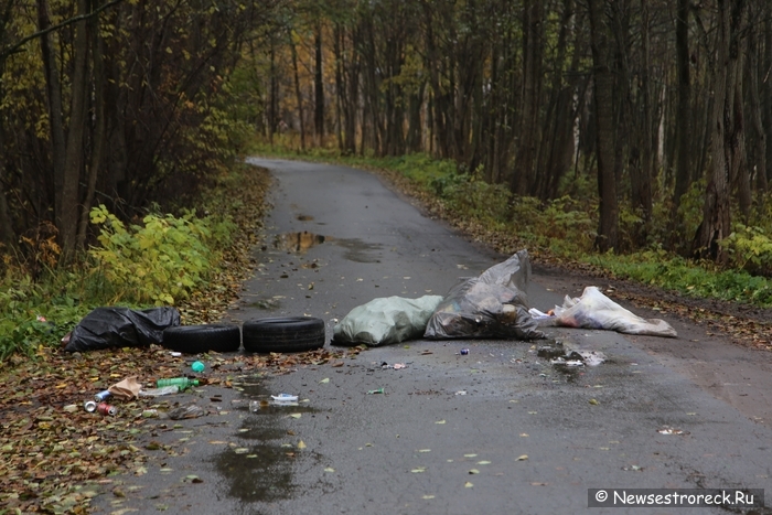 На ул.Инструментальщиков "шутники" перегородили дорогу в лодочные гаражи На ул.Инструментальщиков "шутники" перегородили дорогу в лодочные гаражи