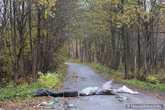 На ул.Инструментальщиков "шутники" перегородили дорогу в лодочные гаражи На ул.Инструментальщиков "шутники" перегородили дорогу в лодочные гаражи