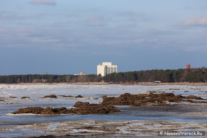 Ледовая обстановка в Курортном районе