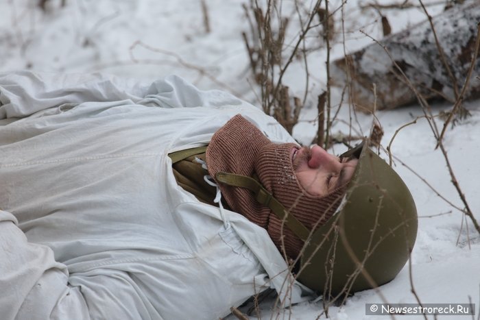 В Сестрорецке прошел военно-исторический фестиваль «Западный фронт»