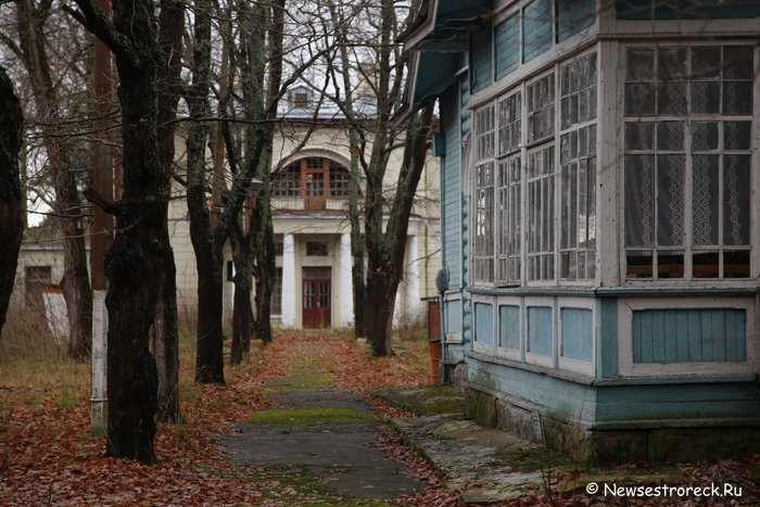 Детский лагерь построят в Сестрорецке на месте заброшенных исторических дач