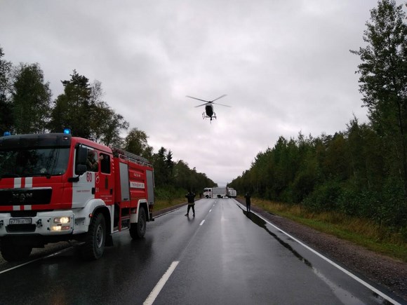 В лесном массиве под Сестрорецком искали заблудившихся пенсионерок