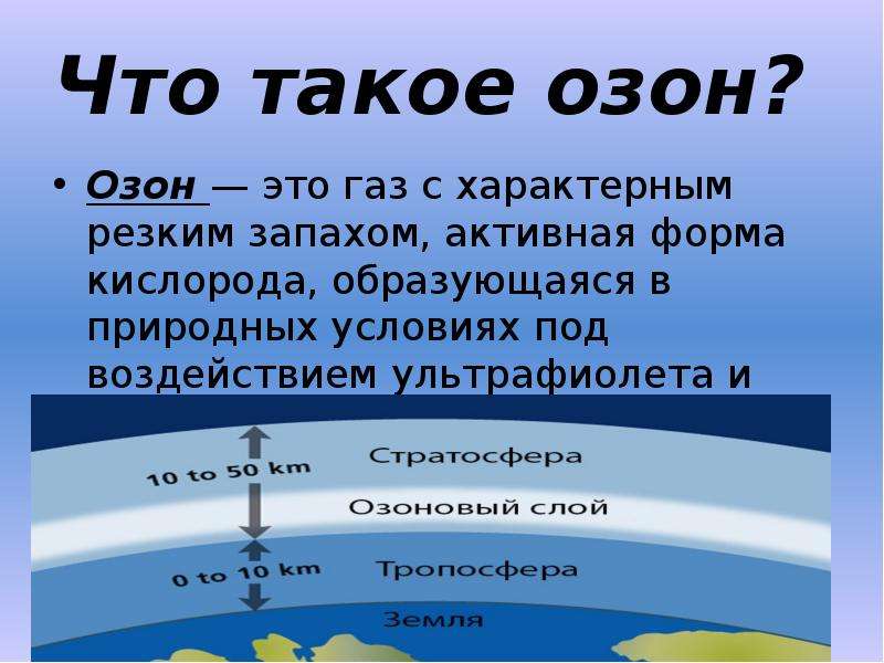 В Петербурге нашли места с опасным количеством токсичного газа